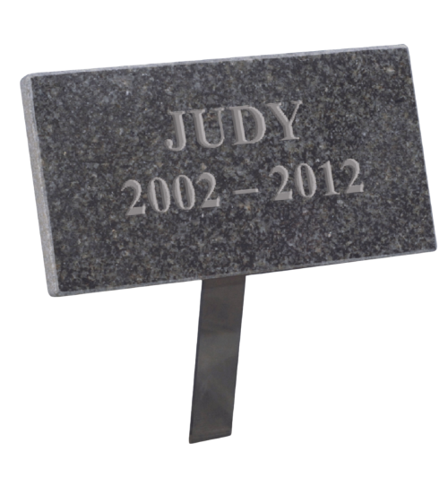 Judy